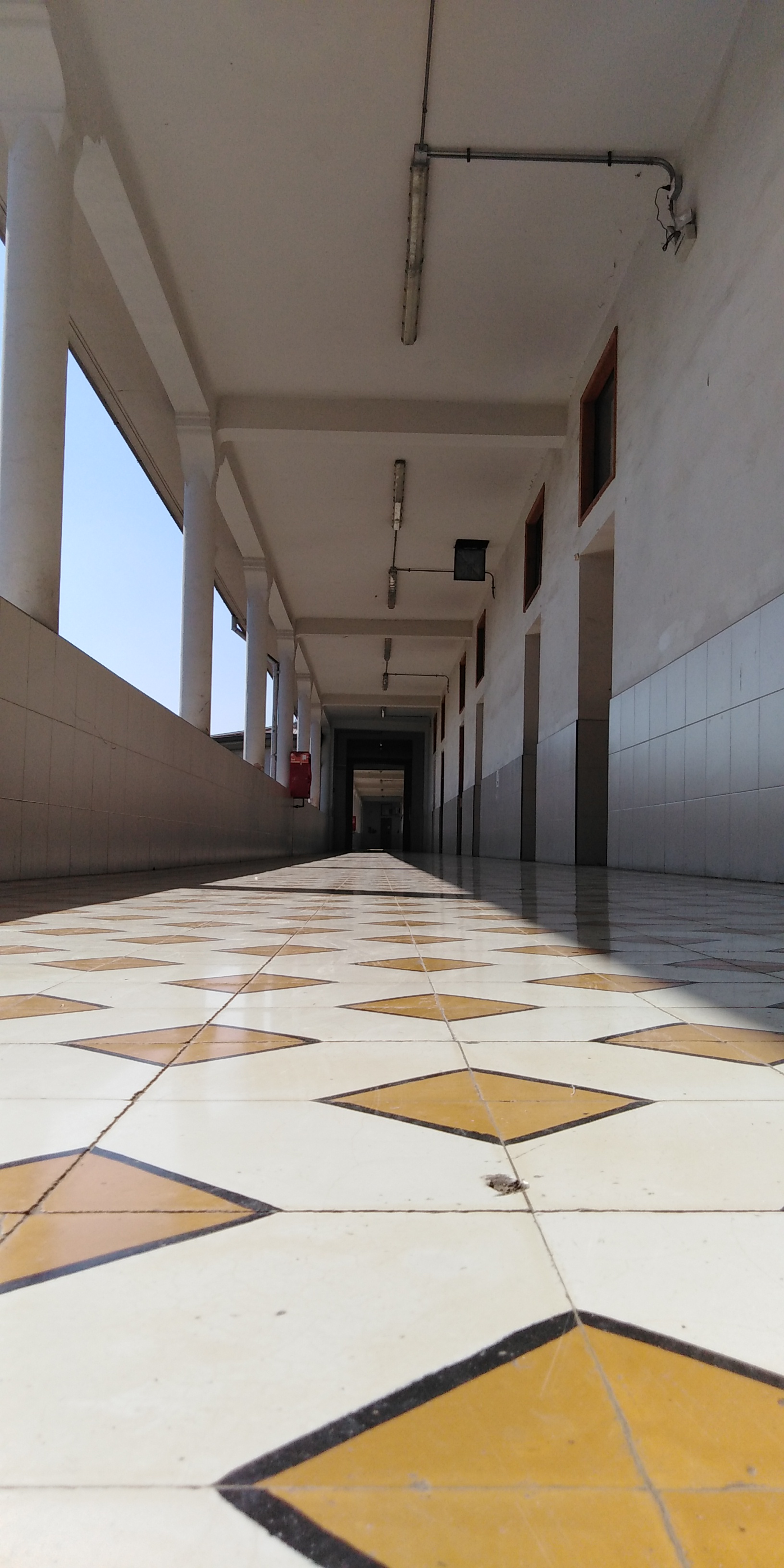 Perspectiva de simetra
