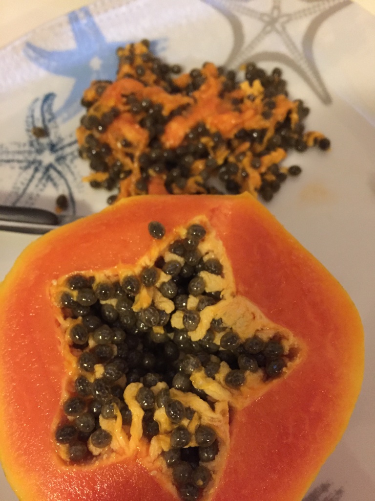 estrella en fruta